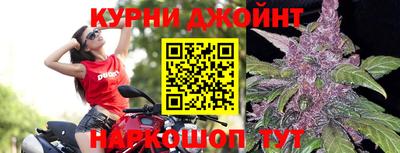 стаф Бузулук