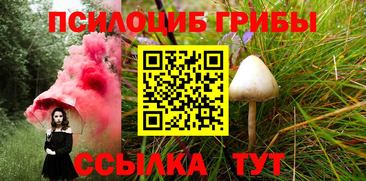 Псилоцибиновые грибы GOLDEN TEACHER  Вход с VPN  Лысьва  Псилоцибиновые грибы прущие грибы 